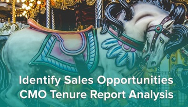 identify sales opportunities winmoedge cmo tenure report x