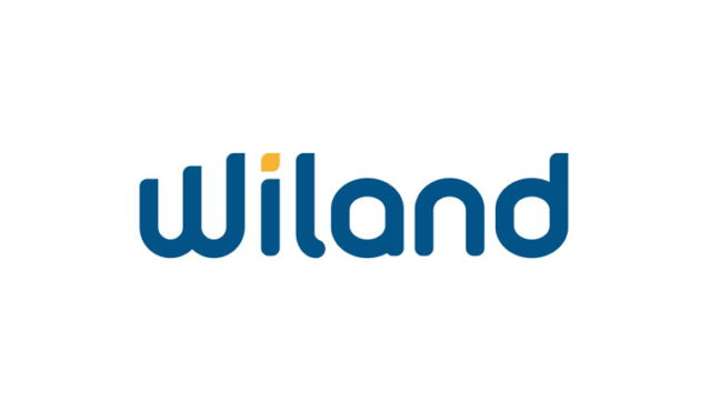 casestudy willand